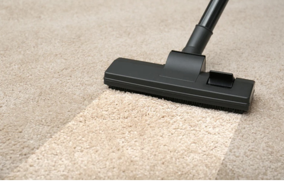 Professional carpet cleaning in progress